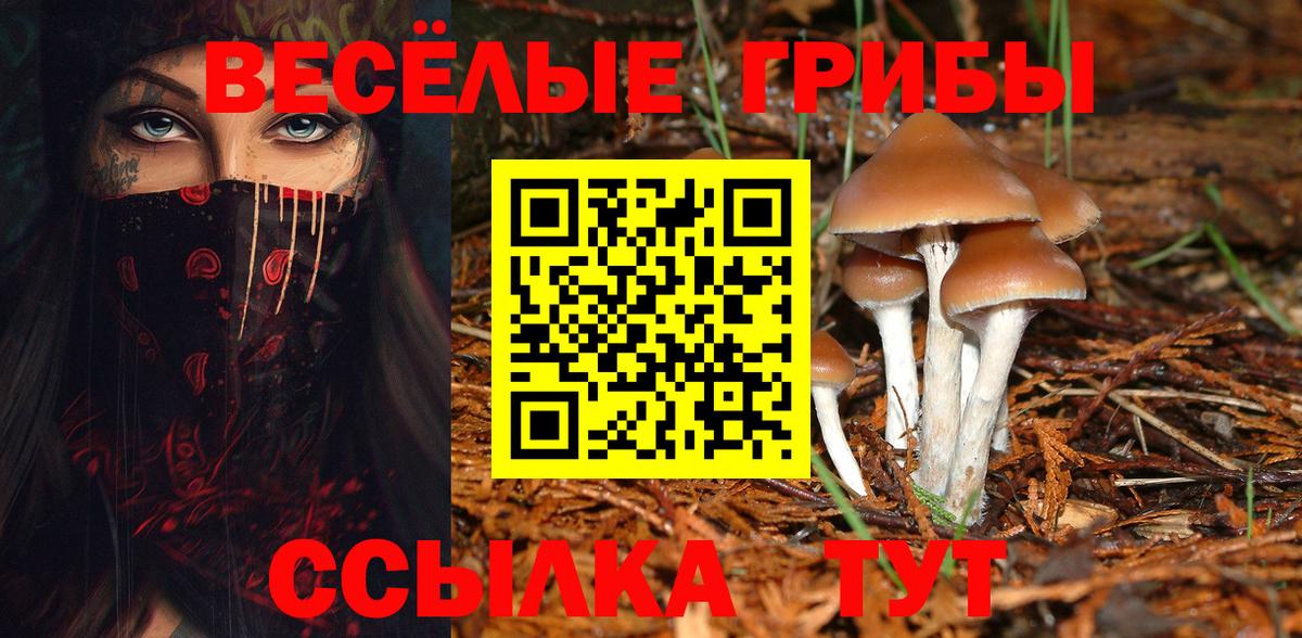 Галлюциногенные грибы Psilocybine cubensis Балашиха